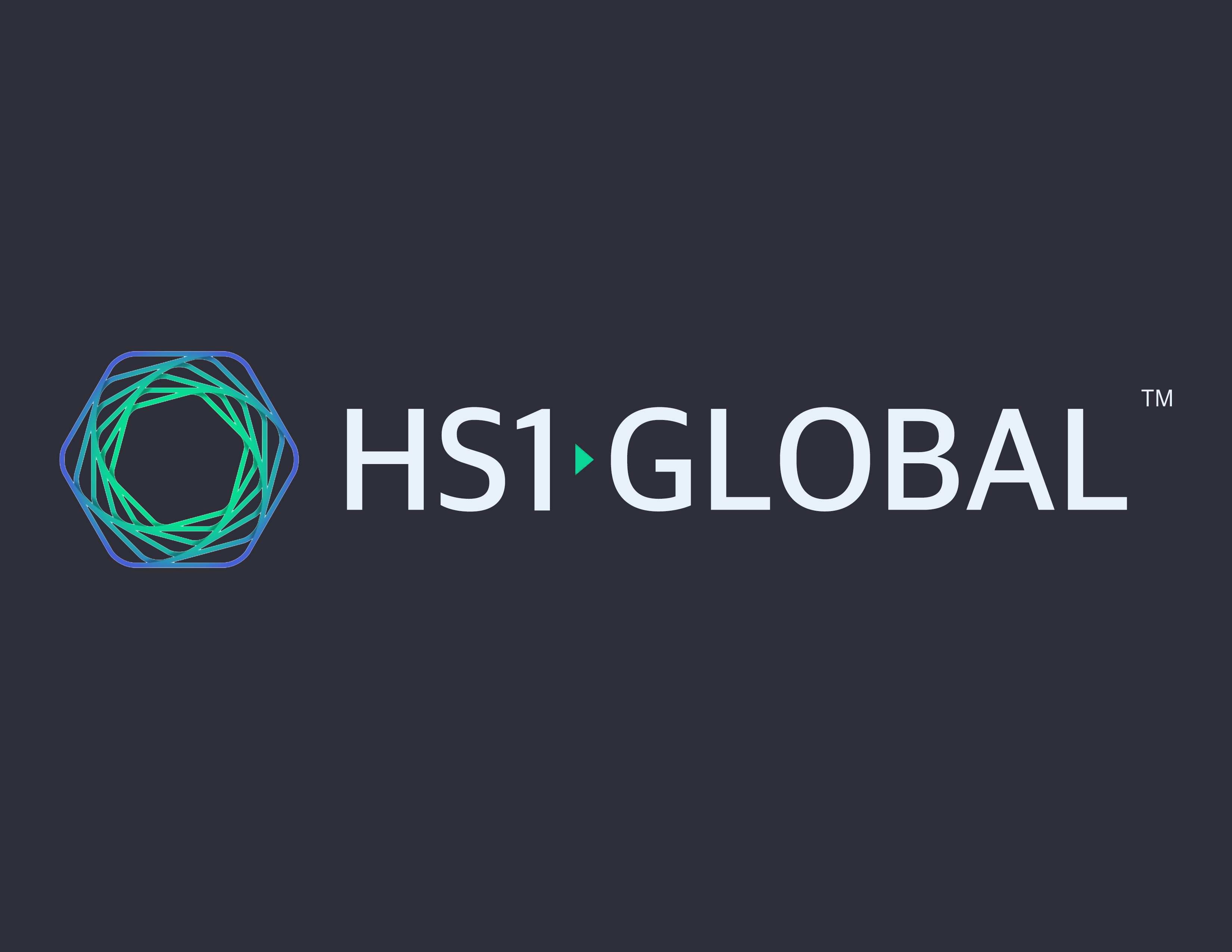 official text logo of hs1global corporate