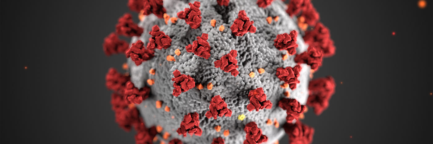 microscopic, computer generated, virology, depiction, coronavirus
